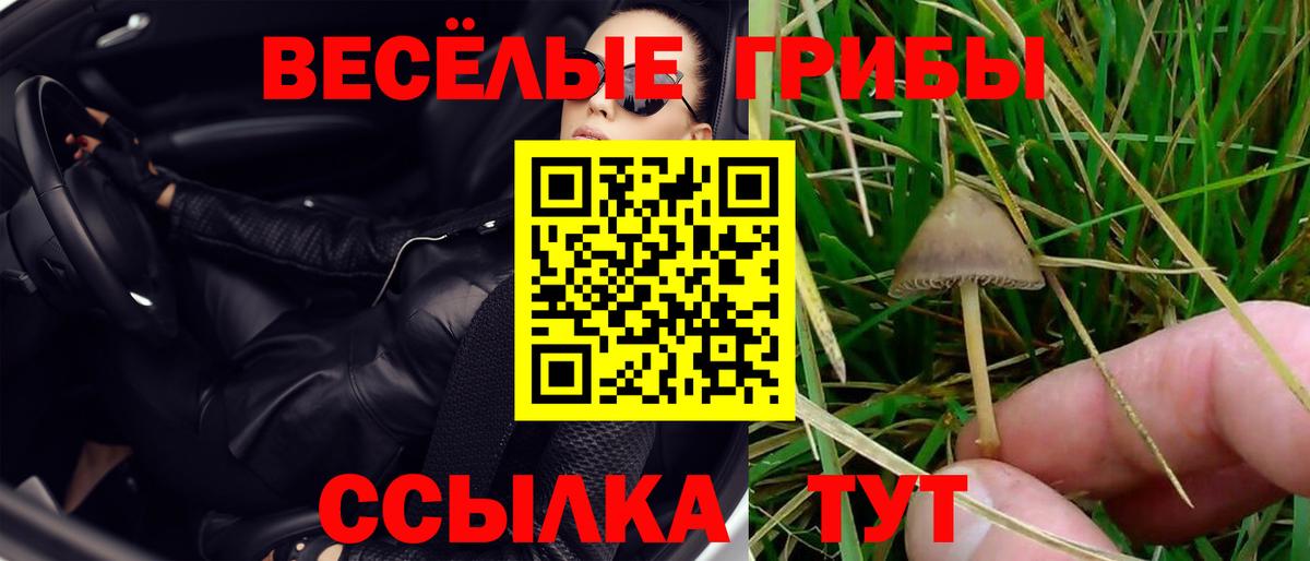 МЕФ Шатура