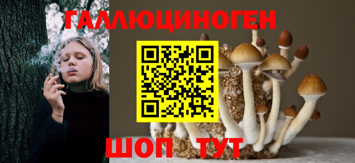 Галлюциногенные грибы Magic Shrooms Шатура